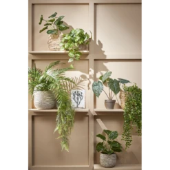 Bloempot Hendrick - D21,5 X H19cm - Creme 5 Bloempot Hendrick - D21,5 X H19cm - Creme -Huisdecoratie bloempot hendrick d21 5 x h19cm creme bloempot 3 1