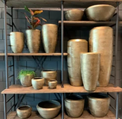 Plantenschaal Kos - D45 X H20cm - Goud 5 Plantenschaal Kos - D45 X H20cm - Goud -Huisdecoratie bloempot kos serie goud bloempot 3 1 4