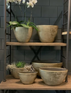 Bloempot Kos Ovaal - L55 X B23 X H29cm - Goud -Huisdecoratie bloempot kos serie ovaal goud bloempot 3 1 1