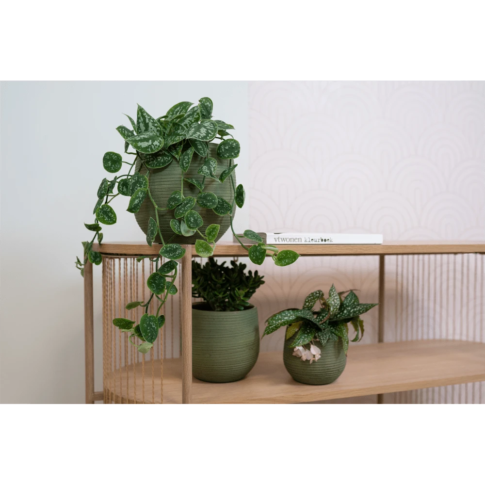 Bloempot Lydia - D22 X H20cm - Shiny Green 2 Bloempot Lydia - D22 X H20cm - Shiny Green - Afbeelding 2