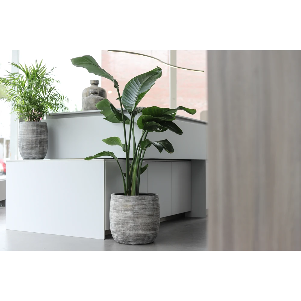Bloempot Miami - D23 X H21cm - Zwart Cement 2 Bloempot Miami - D23 X H21cm - Zwart Cement - Afbeelding 2