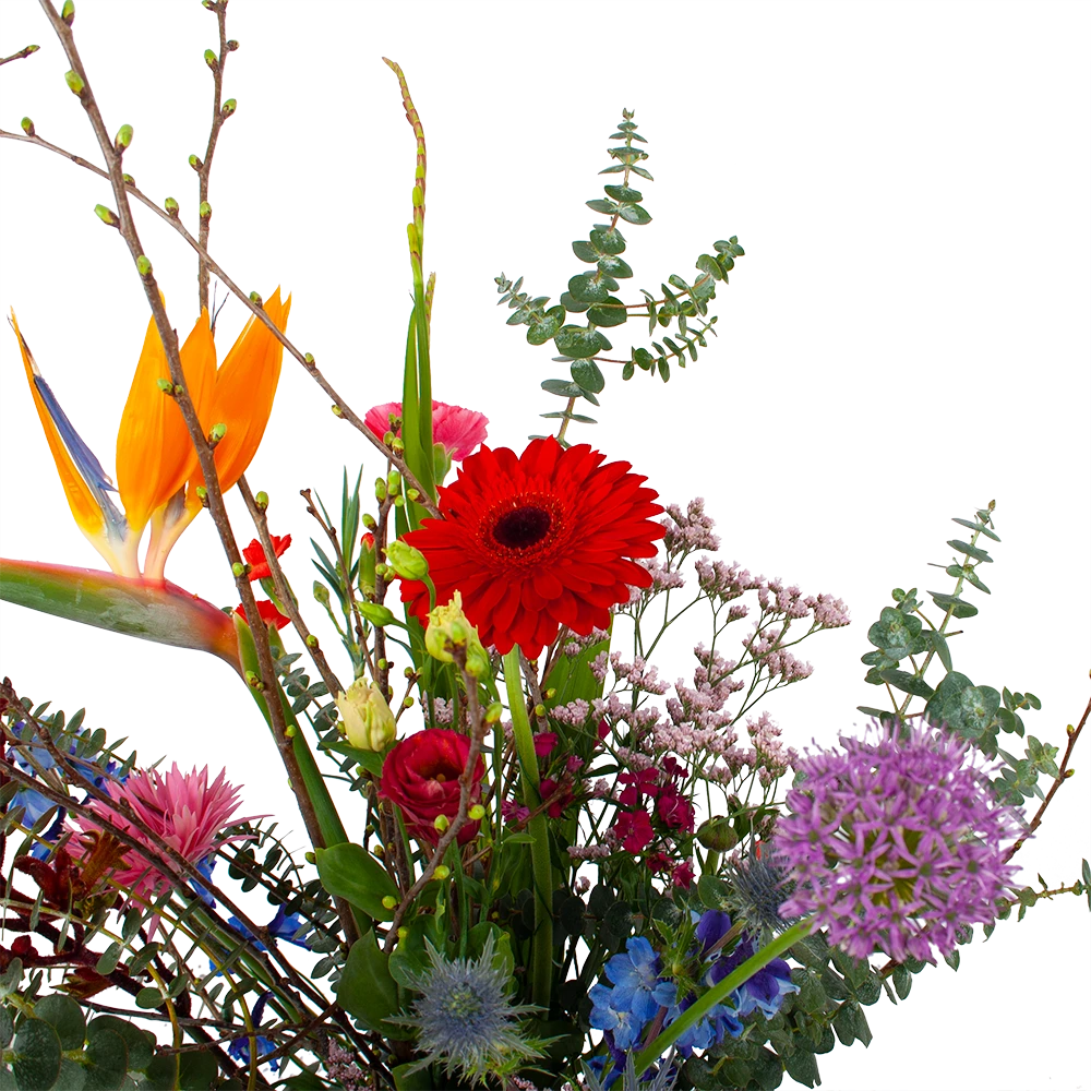 Boeket Deluxe Liefs Mij Groot 2 Boeket Deluxe Liefs Mij Groot - Afbeelding 2