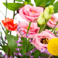 Boeket Kleurrijk Geplukt Klein -Huisdecoratie boeket kleurrijk geplukt boeketten 3