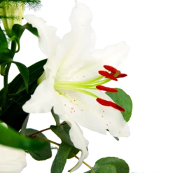 Boeket Witte Winter Groot -Huisdecoratie boeket witte winter boeketten 4