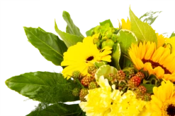 Boeket Zonnetje Groot -Huisdecoratie boeket zonnetje boeketten 4 1 1