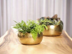 Plantenschaal Kody - D24 X H11cm - Goud -Huisdecoratie bowl kody gold d24 h11 schaal 7 12