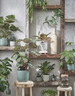 Bloempot Daan - D21.5 X H20.5cm - Wit -Huisdecoratie daan pot rond wit h20 5xd21 5cm bloempot 7 7