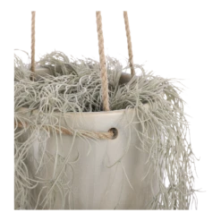 Hangpot Resa - D18,5 X H17cm - Lichtgrijs 7 Hangpot Resa - D18,5 X H17cm - Lichtgrijs -Huisdecoratie hangpot resa d18 5 x h17cm lichtgrijs hangpot 3 1