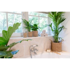 Plantenmand Joris - D30 X H27cm - Naturel 5 Plantenmand Joris - D30 X H27cm - Naturel -Huisdecoratie plantenmand joris naturel plantenmand 3 2