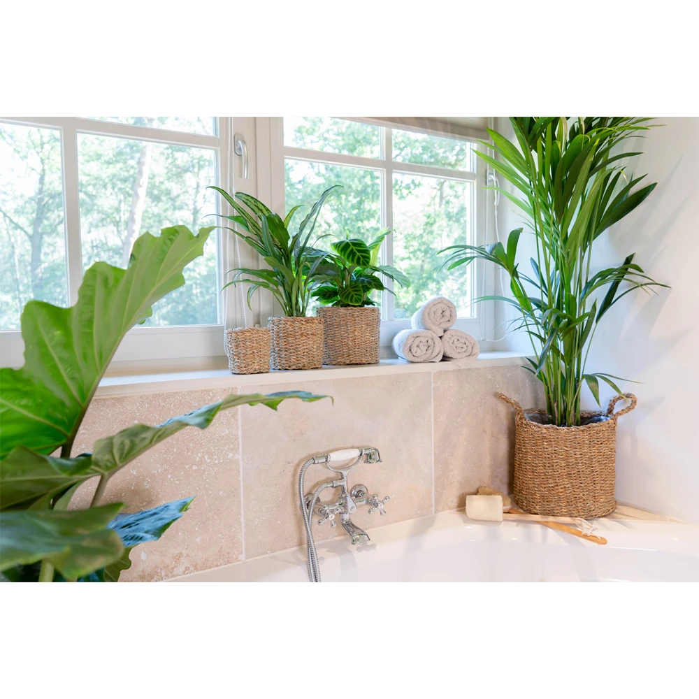 Plantenmand Joris - D30 X H27cm - Naturel 3 Plantenmand Joris - D30 X H27cm - Naturel - Afbeelding 3