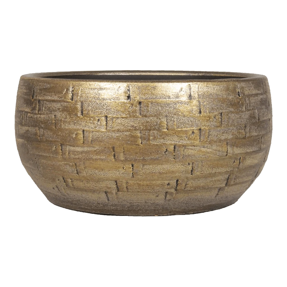 Plantenschaal Steef - D27 X H14cm - Industrieel Goud 1 Plantenschaal Steef - D27 X H14cm - Industrieel Goud