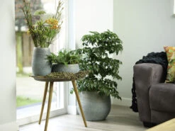 Bloempot Ryan - D36 X H32cm - Shiny Blue 5 Bloempot Ryan - D36 X H32cm - Shiny Blue -Huisdecoratie pot ryan shiny blue keramiek d36 h32 bloempot 7 10