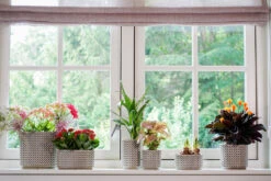 Bloempot Thies - D17 X H15cm - Olijf Groen -Huisdecoratie pot thies olive green d17 h15 bloempot 7 9