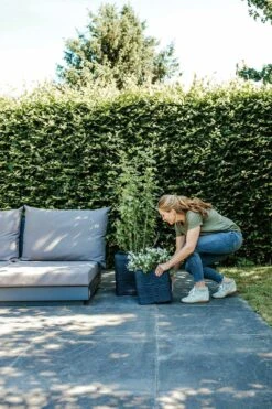 Capi Plantenbak Vierkant Nature Rib NL - L40 X B40 X H40cm - Zwart 5 Capi Plantenbak Vierkant Nature Rib NL - L40 X B40 X H40cm - Zwart -Huisdecoratie pot vierkant rib nl 40x40x40 zwart plantenbak 7 8